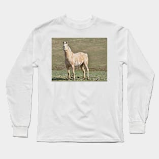 Quest Long Sleeve T-Shirt